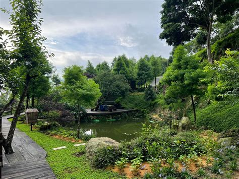 聽花山川|聽花山川